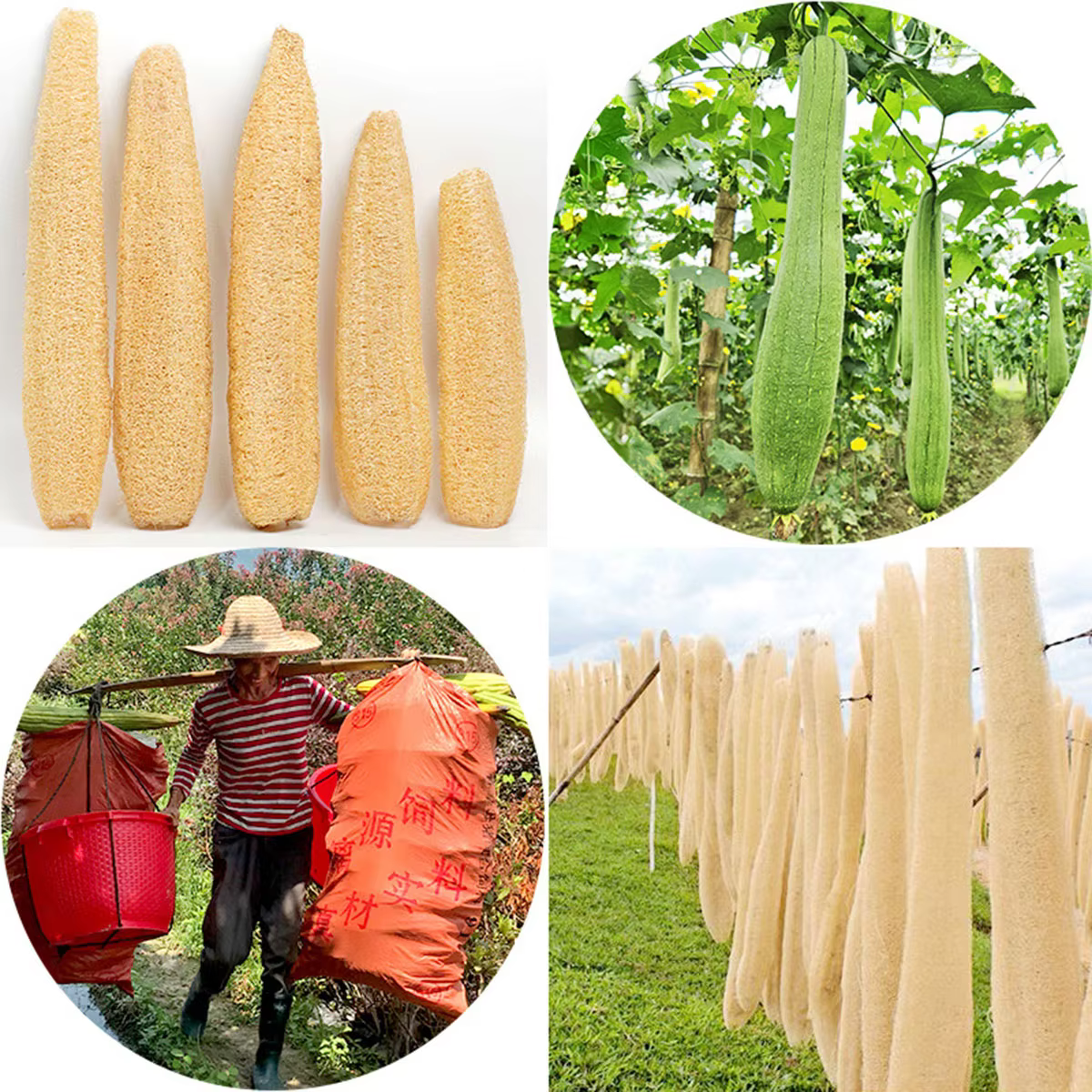 1pcs Natural Loofah Sponge Multi-purpose Cleaning Tool for Kitchen Bathroom Scrubber For Daily Cleansing Wash Body Scrubber Spa - Image 3