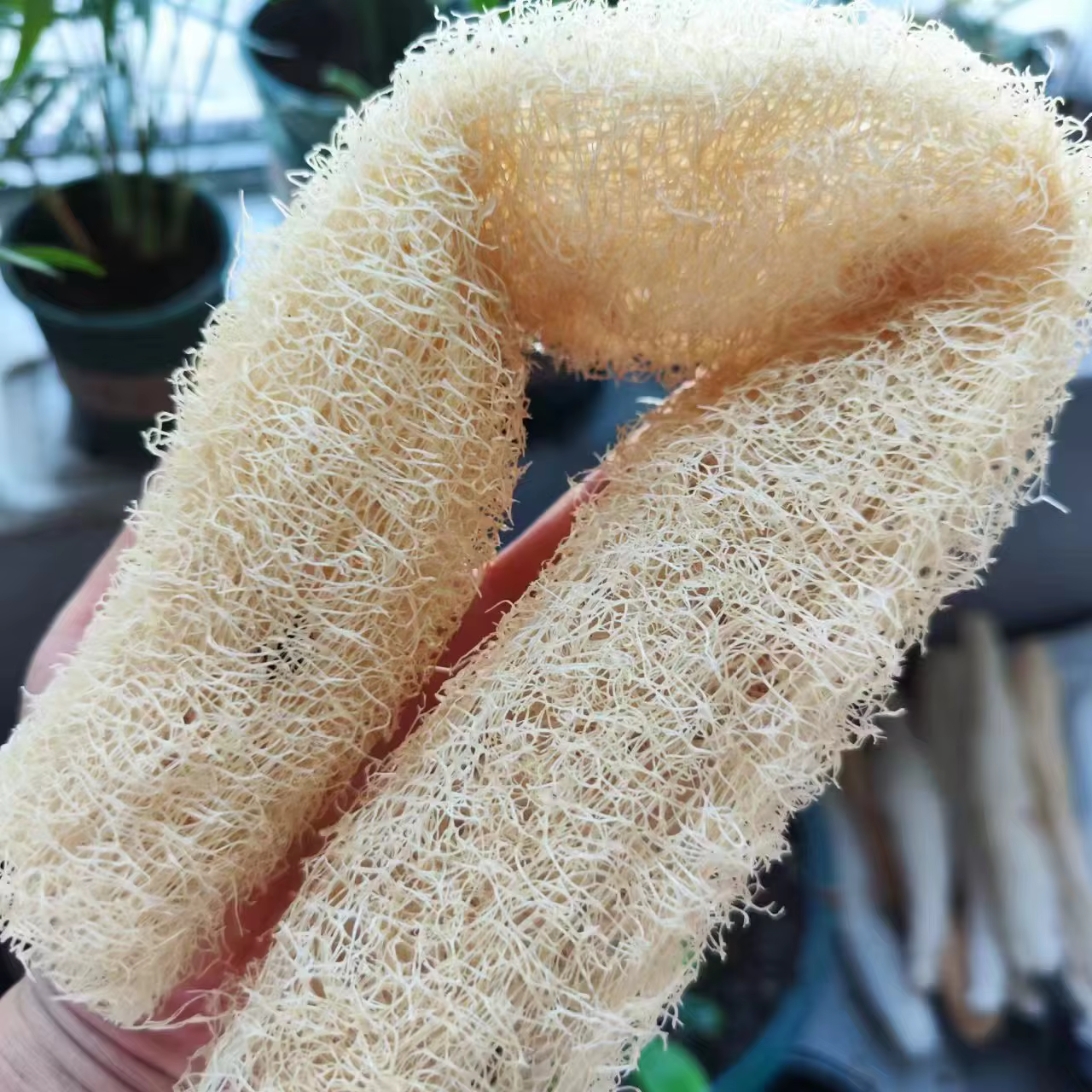 Marvelous Loofah Sponge Versatile from Skincare to Household Cleaning Natural Fiber Wonder Cleansing Helper Scrubber for Cleanup - Image 5